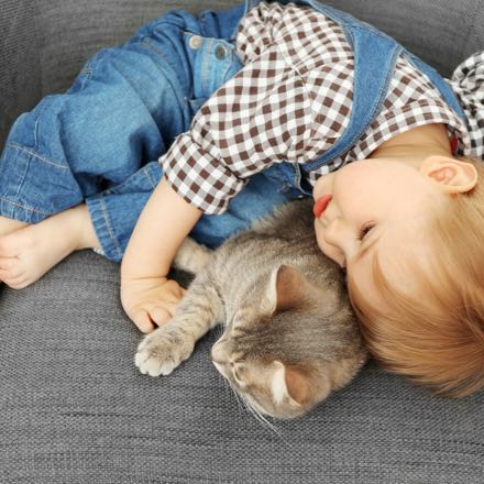 boy cuddling cat