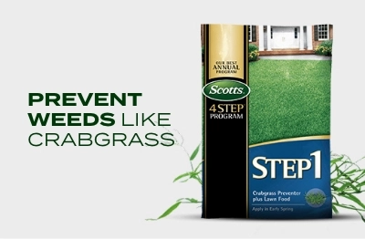 Prevent weed like crabgrass