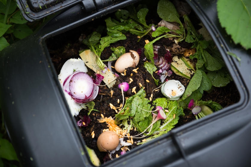 How To Compost Household Waste - True Value Hardware