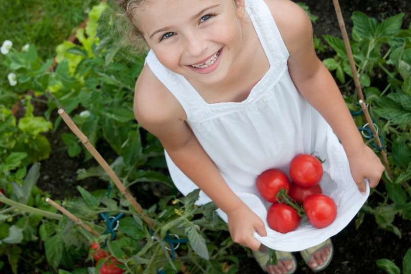 Get Ready to Grow: Plan Your Vegetable or Flower Garden