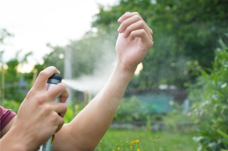 Choose the Right Insect Repellent