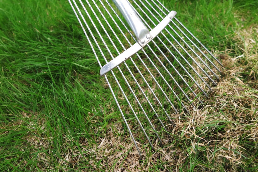 How to Dethatch and Aerate Your Lawn