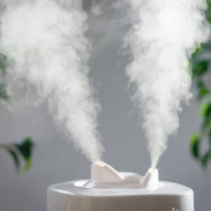 How to Choose the Best Humidifier for Your Home