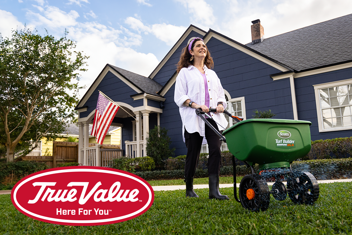 Homeowner using a lawn spreader on green lawn